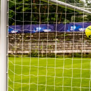 Plase Porti 7.32×2.44m, 2x2m, Fir 3.5 mm — изображение 4