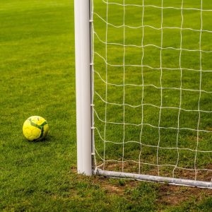 Plase Porti 7.32×2.44m, 2x2m, Fir 3.5 mm — изображение 3